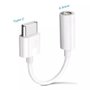 Adaptador Tipo C para P2 It Blue