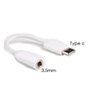 Adaptador Tipo C para P2 Ketchup
