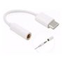 Adaptador Tipo C para P2 Ketchup