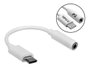 Adaptador Tipo C para P2 Ketchup
