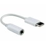 Adaptador Tipo C para P2 Ketchup