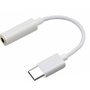 Adaptador Tipo C para P2 Ketchup