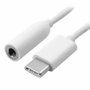 Adaptador Tipo C para P2 Ketchup