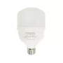 Lampada 20w Foxlux Led Br6500k Biv