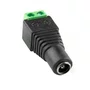 Plug P4 Femea